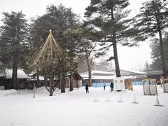 -北海道神宫