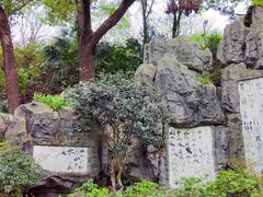 -白沙古井