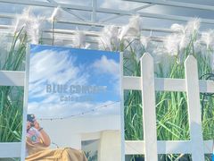 -Blue Concept Cafe&Farm·關於藍