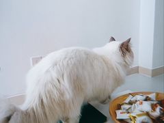 -一间摄影工作室(天安云谷店)
