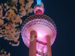 -东方明珠广播电视塔