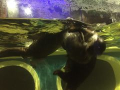 -成都浩海立方海洋公园