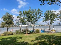 -上海山野camping·户外天幕烧烤·团建拓展营地