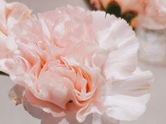 -四川饭店(长白店)