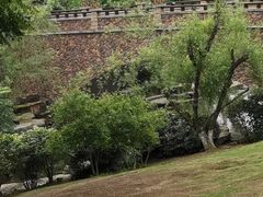 -桃花岭景区