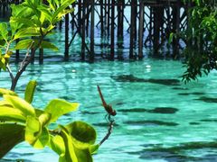 -卡帕莱度假村(西巴丹岛)