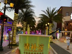 -三亚海昌梦幻海洋不夜城