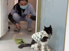 -立德24H动物医院·夜诊·转诊中心·1.5T核磁共振(海珠店)