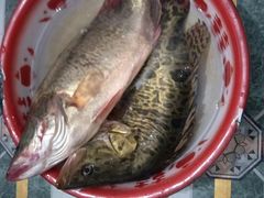 -王四营海鲜市场