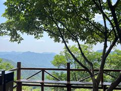 -大岭沟猕猴桃谷风景区