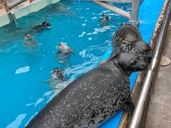 -泉城欧乐堡海洋极地世界