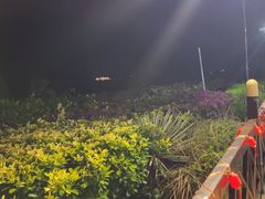 -渔家火锅·海鲜自助餐·演艺(亚龙湾天域酒店)