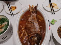 红烧黄河大鲤鱼-阿五黄河大鲤鱼(海尚店)