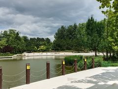 -大望京公园