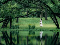 -上海共青森林公园