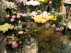 -花未央花店·WEYOUNG