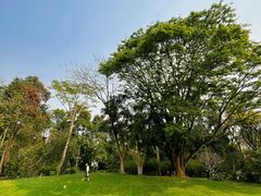 -中国科学院西双版纳热带植物园