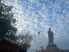 -东堤公园