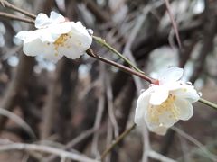 -白塘生态植物园