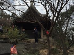 -香雪海