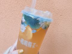 -鸡鸣赐茶(鸡鸣寺路店)