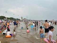 -碧海金沙