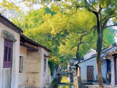 -绍兴鲁迅故里·沈园景区