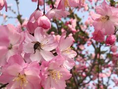 -杭州城北体育公园