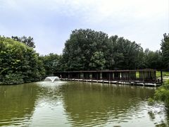 -翠湖国家城市湿地公园