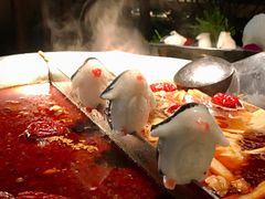 企鹅馒头-湊湊火锅·茶憩(打浦桥日月光店)