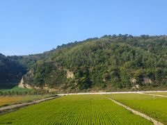 -南泥湾风景区