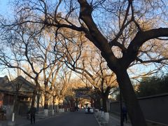 -护国寺小吃(安定门店)