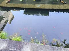 -西溪南古村落