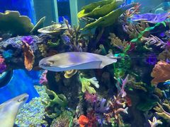 -成都浩海立方海洋公园