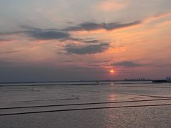 -滆湖低碳生态公园