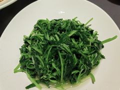 时令蔬菜-徐记海鲜(曲江南湖店)