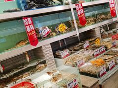 零售区-万龙洲海鲜(大兴绿地缤纷城店)