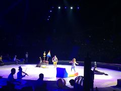 -珠海横琴长隆《卡卡虎奇遇记》