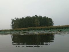 -白洋淀景区