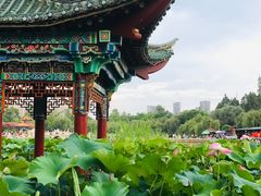 -庾园