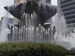 -新世界百货(明洞总店)