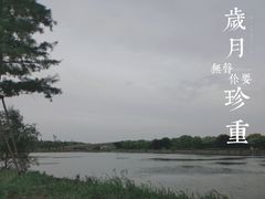 -广富林郊野公园