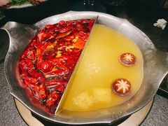 红颜花胶鸡锅-湊湊火锅·茶憩(打浦桥日月光店)