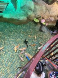 -酷嗒动物文化乐园(cutezoo西溪乐天城店)