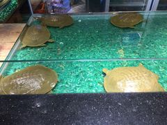 -洪湘记川湘·甲鱼馆(四海凯悦美食广场店)