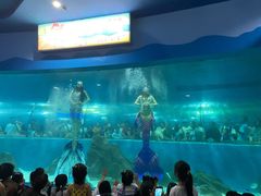 -苏州海洋馆