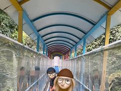 -七仙岭温泉国家森林公园