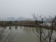 -长兴太湖图影湿地文化园