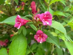 -周口店坡峰岭风景区