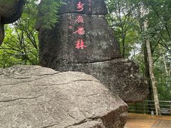 -汤旺河林海奇石景区